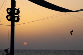 Liat Segal, Assaf Talmudi, Jonathan Rubin, Robotic Drums Bat Yam Biennale Liat Segal - art, science, and technology