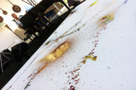 Liat Segal and Assaf Talmudi, Shlomi Shaban, Heart For The Tin Man, Fresh Paint Liat Segal - art, science, and technology