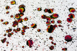 Liat Segal and Assaf Talmudi, Shlomi Shaban, Heart For The Tin Man, Fresh Paint Liat Segal - art, science, and technology