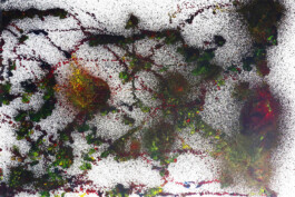 Liat Segal and Assaf Talmudi, Shlomi Shaban, Heart For The Tin Man, Fresh Paint Liat Segal - art, science, and technology