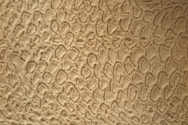 Liat Segal, Sand Printer, drawing machine Liat Segal - art, science, and technology