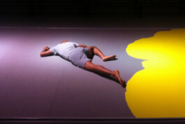 Liat Segal and Shahar Biniamini, Wall To Wall Carpeting - Bat Sheva Dance Company Liat Segal - art, science, and technology