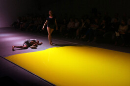 Liat Segal and Shahar Biniamini, Wall To Wall Carpeting - Bat Sheva Dance Company Liat Segal - art, science, and technology