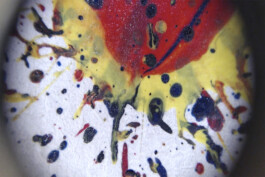 Liat Segal \ Microfilm \ art installation \ Herzliya Museum \ curator: Adi Dahan Liat Segal - art, science, and technology