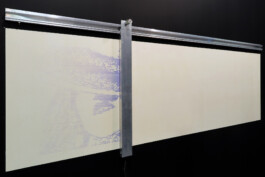 Liat Segal, Attending Machine, art installation, photo-chromatic Liat Segal - art, science, and technology