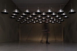 Liat Segal, People You May Know - Brief History Of Humankind - Israel Museum Liat Segal - art, science, and technology