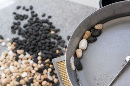Liat Segal, Stone Sorting Machine Liat Segal - art, science, and technology