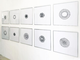 LiatSegal | Epicenter \ Meshalia | Installation view | Hansen House, Jerusalem Liat Segal - art, science, and technology