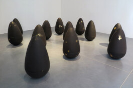 Liat Segal \ FOMO \ Installation Liat Segal - art, science, and technology