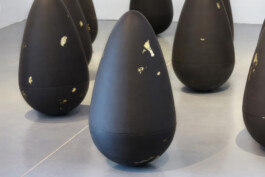 Liat Segal \ FOMO \ Installation Liat Segal - art, science, and technology