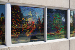 Hyperreality \ Liat Segal \ Installation \ Wende Museum CA USA Liat Segal - art, science, and technology