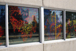 Hyperreality \ Liat Segal \ Installation \ Wende Museum CA USA Liat Segal - art, science, and technology