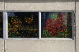 Hyperreality \ Liat Segal \ Installation \ Wende Museum CA USA Liat Segal - art, science, and technology