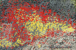 Hyperreality \ Liat Segal \ Installation \ Wende Museum CA USA Liat Segal - art, science, and technology