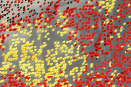Hyperreality \ Liat Segal \ Installation detail \ Wende Museum CA USA Liat Segal - art, science, and technology