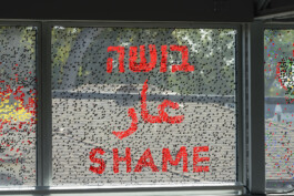 Hyperreality \ Liat Segal \ Installation \ Wende Museum CA USA Liat Segal - art, science, and technology