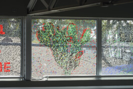 Hyperreality \ Liat Segal \ Installation \ Wende Museum CA USA \ photo by Angel Xotlanihua Liat Segal - art, science, and technology