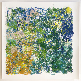 Liat Segal \ Random Walk 2.0 \ Painting Machine Liat Segal - art, science, and technology