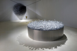Liat Segal \ Random Walk \ Solo Exhibition \ Artist Residency Herzliya Liat Segal - art, science, and technology