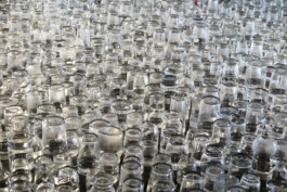 Liat Segal \ Vessel Streaming \ Solo Exhibition \ La Rochelle \ Zero1 Festival Liat Segal - art, science, and technology