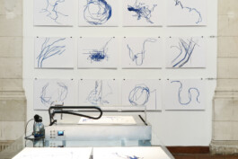 Liat Segal \ Vessel Streaming \ Solo Exhibition \ La Rochelle - Centre Intermondes \ Zero1 Festival - Installation Liat Segal - art, science, and technology