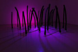 Tropism \ art installation \ Liat Segal and Yasmine Meroz \ Tel Aviv University Contemporary Art Gallery \ art-science collaboration Liat Segal - art, science, and technology