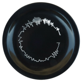 Liat Segal and Roy Maayan, Plate Recorder Liat Segal - art, science, and technology
