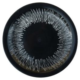 Liat Segal and Roy Maayan, Plate Recorder Liat Segal - art, science, and technology