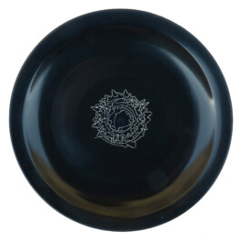 Liat Segal and Roy Maayan, Plate Recorder Liat Segal - art, science, and technology
