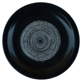 Liat Segal and Roy Maayan, Plate Recorder Liat Segal - art, science, and technology