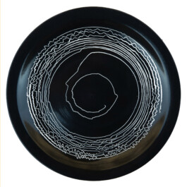 Liat Segal and Roy Maayan, Plate Recorder Liat Segal - art, science, and technology