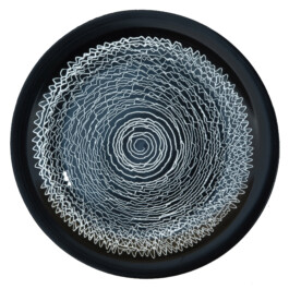 Liat Segal and Roy Maayan, Plate Recorder Liat Segal - art, science, and technology
