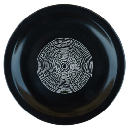Liat Segal and Roy Maayan, Plate Recorder Liat Segal - art, science, and technology