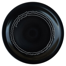 Liat Segal and Roy Maayan, Plate Recorder Liat Segal - art, science, and technology
