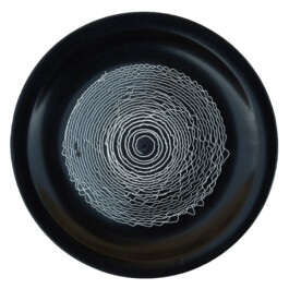 Liat Segal and Roy Maayan, Plate Recorder Liat Segal - art, science, and technology