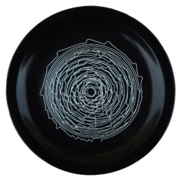 Liat Segal and Roy Maayan, Plate Recorder Liat Segal - art, science, and technology