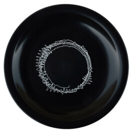 Liat Segal and Roy Maayan, Plate Recorder Liat Segal - art, science, and technology