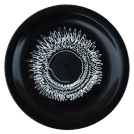 Liat Segal and Roy Maayan, Plate Recorder Liat Segal - art, science, and technology
