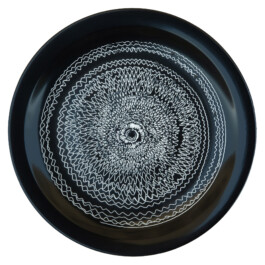 Liat Segal and Roy Maayan, Plate Recorder Liat Segal - art, science, and technology