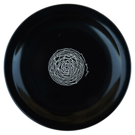 Liat Segal and Roy Maayan, Plate Recorder Liat Segal - art, science, and technology