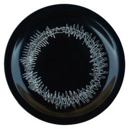 Liat Segal and Roy Maayan, Plate Recorder Liat Segal - art, science, and technology