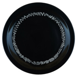 Liat Segal and Roy Maayan, Plate Recorder Liat Segal - art, science, and technology