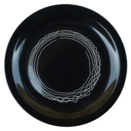 Liat Segal and Roy Maayan, Plate Recorder Liat Segal - art, science, and technology