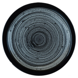 Liat Segal and Roy Maayan, Plate Recorder Liat Segal - art, science, and technology