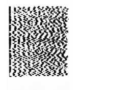 Liat Segal \ This Is Not A Typewriter \ Solo Exhibition \ Painting Machine Liat Segal - art, science, and technology