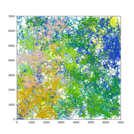 Liat Segal \ Random Walk 2.0 \ Painting Machine - digital simulation Liat Segal - art, science, and technology